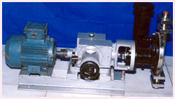 Diaphragm Pumps